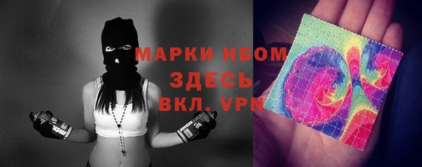 шишки Абаза