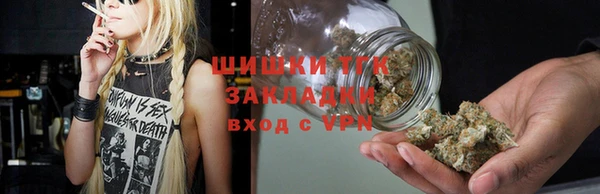 шишки Абаза
