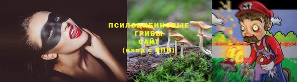 амф Абинск
