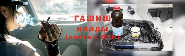 шишки Абаза