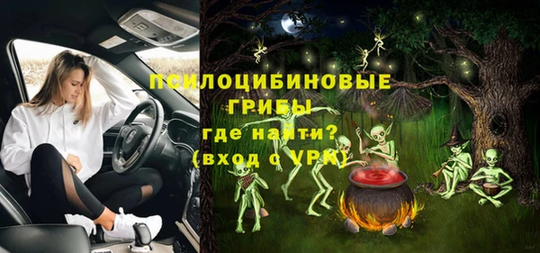 амф Абинск