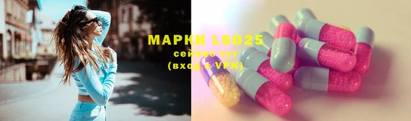 шишки Абаза