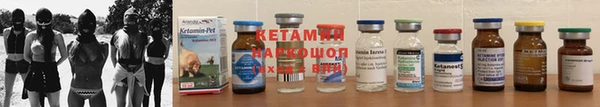 шишки Абаза