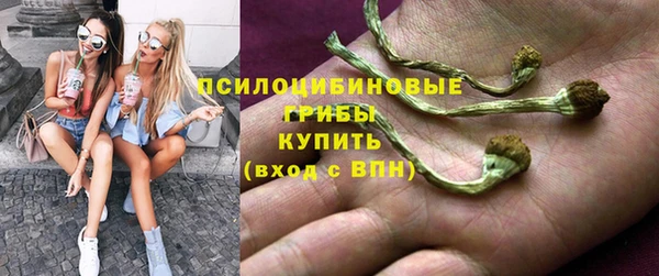 амф Абинск