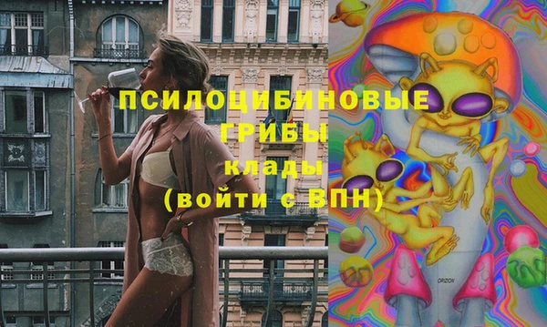 шишки Абаза