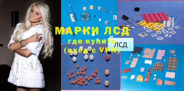 шишки Абаза