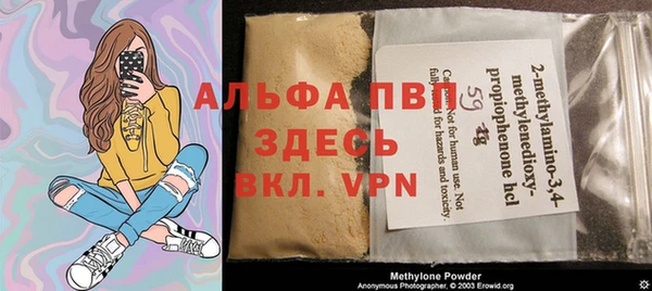 шишки Абаза