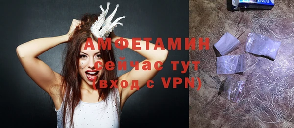 шишки Абаза