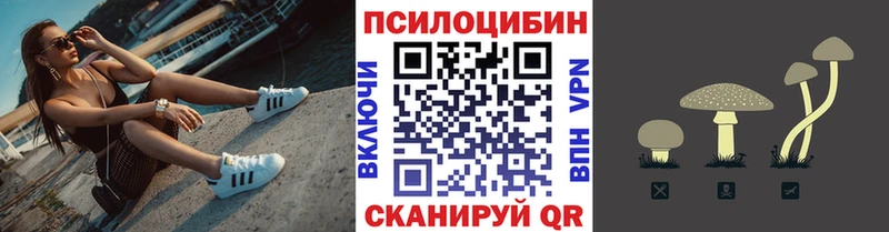 Галлюциногенные грибы Magic Shrooms  Змеиногорск 